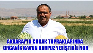 AKSARAY'IN ÇORAK TOPRAKLARINDA ORGANİK KAVUN KARPUZ YETİŞTİRİLİYOR