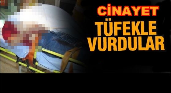 Alacak Verecek Kavgasında 1 Kişi Tüfekle öldürüldü