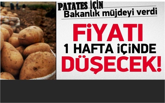 Bakanlık Açıkladı! Fiyatı Bir Hafta İçinde Düşecek