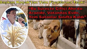 AKSARAY ZİRAAT ODASI BAŞKANI EMİN KOÇAK'TAN YEM FİYATLARINA TEPKİ 
