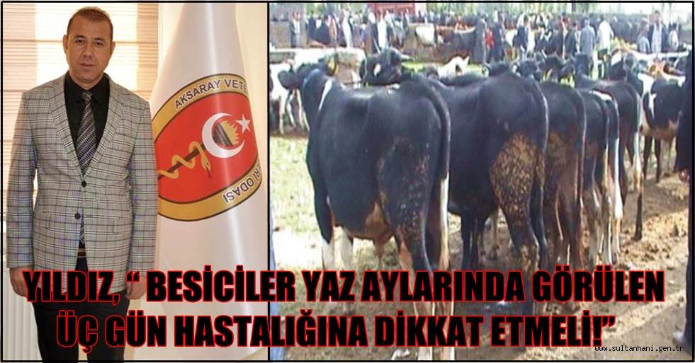 BESİCİLER YAZ AYLARINDA GÖRÜLEN ÜÇ GÜN HASTALIĞINA DİKKAT