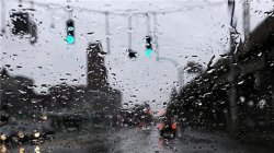 Yağmur Yurdu Terketmiyor