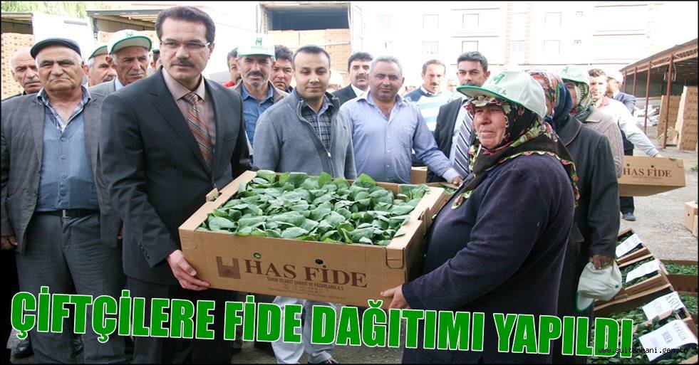 ÇİFTÇİLERE FİDE DAĞITIMI YAPILDI