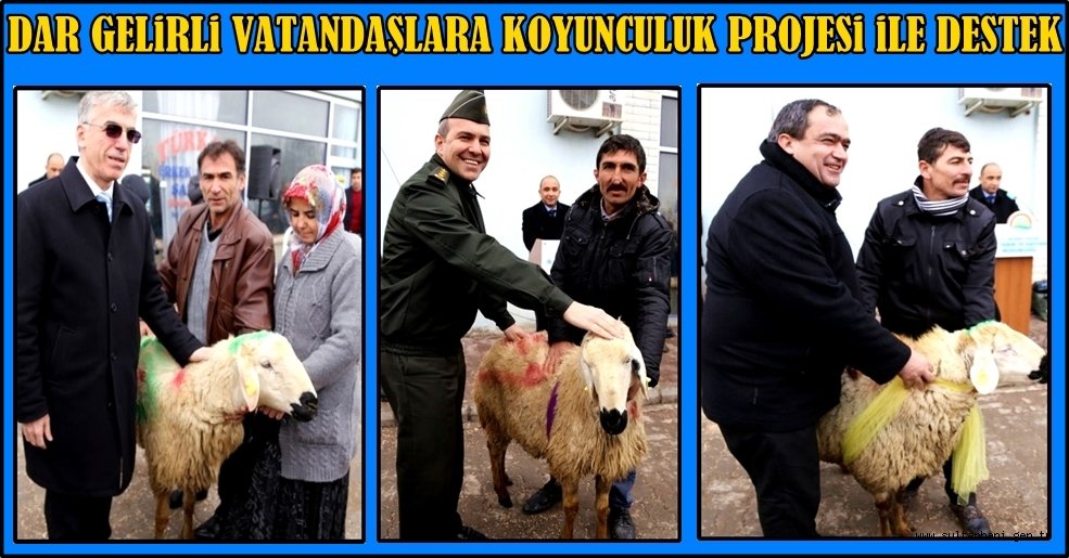 DAR GELİRLİ VATANDAŞLARA KOYUNCULUK PROJESİ İLE DESTEK VERİLİYOR
