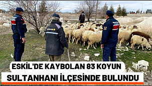 ESKİL'DE KAYBOLAN 83 KOYUN JANDARMA TARAFINDAN SULTANHANI İLÇESİNDE BULUNDU