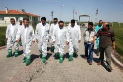 Vali Selami Altınok Koçaş Tarım İşletmesi Müdürlüğünü Ziyaret Etti...