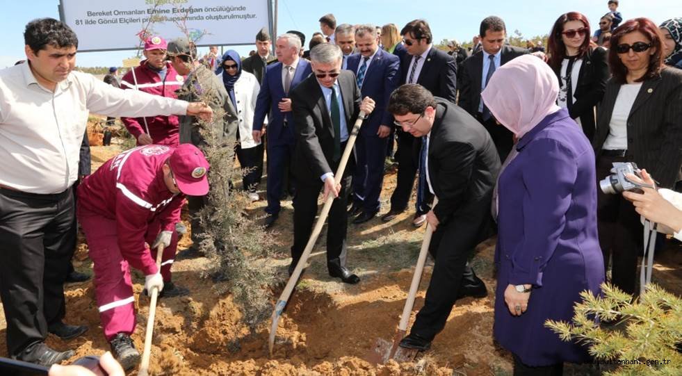 FİDANLAR ‘BEREKET ORMANLARI’ İÇİN DİKİLDİ
