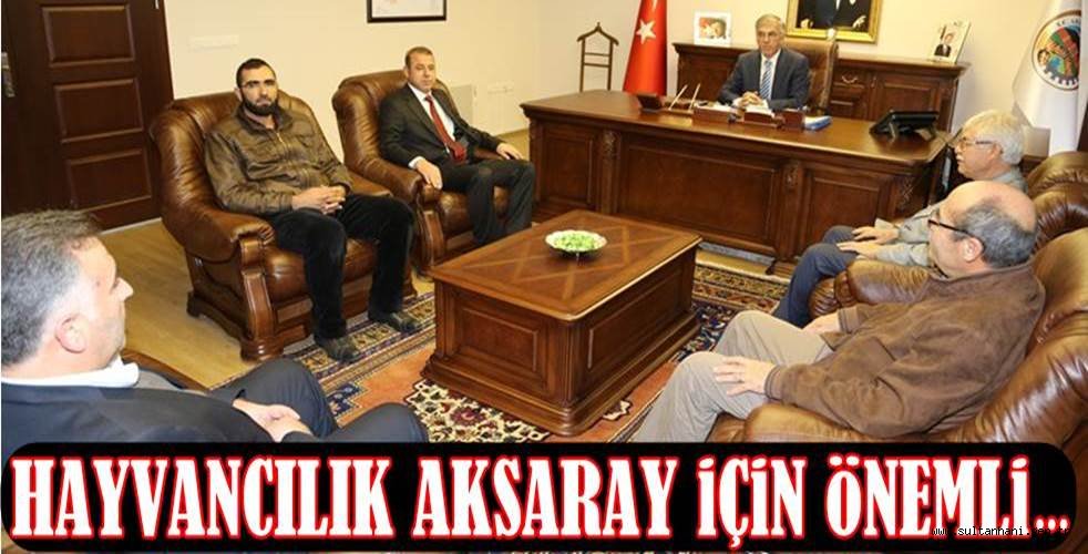 HAYVANCILIK AKSARAY İÇİN ÖNEMLİ BİR FAALİYET ALANI