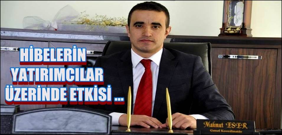 HİBELERİN YATIRIMCILAR ÜZERİNDE ETKİSİ