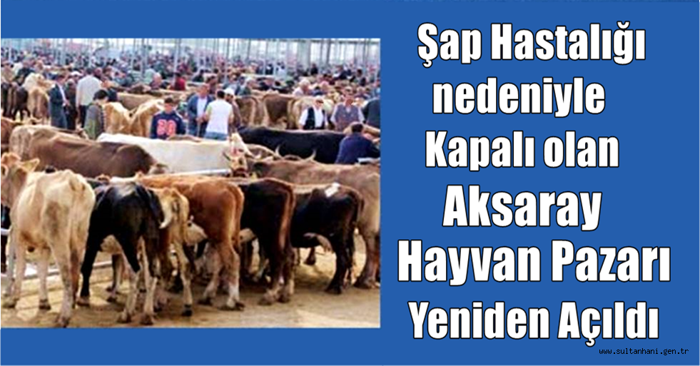 KAPALI OLAN AKSARAY HAYVAN PAZARI YENİDEN AÇILDI