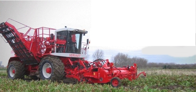 Kolunu Pancar Söküm Makinasına Kaptırdı