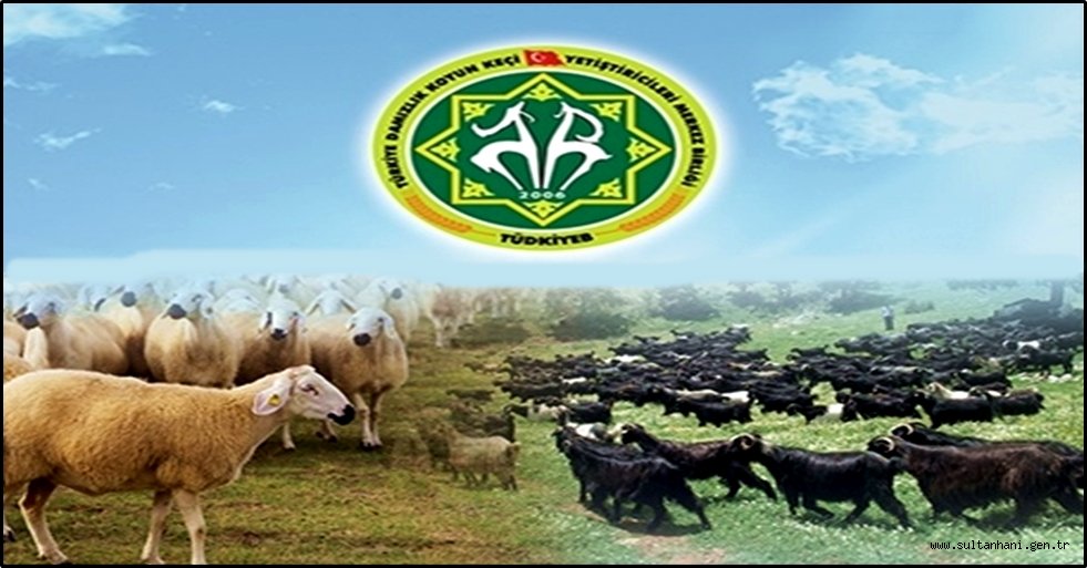 KÜÇÜKBAŞ HAYVANCILIK ÇALIŞTAYI TOPLANIYOR