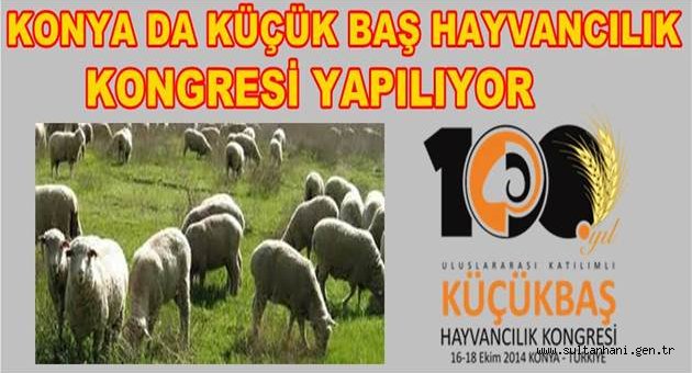 KÜÇÜKBAŞ HAYVANCILIK KONGRESİ KONYA’DA TOPLANIYOR