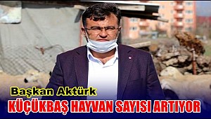 BAŞKAN AKTÜRK 'ÜLKEMİZDE KÜÇÜKBAŞ HAYVAN SAYISI ARTIYOR'