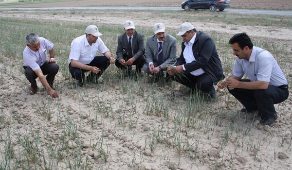 Kuraklık Nedeni İle çiftçi Borçları Erteleniyor