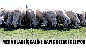 MERA ALANI İŞGALİNE HAPİS CEZASI GELİYOR