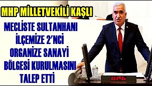 MHP MİLLETVEKİLİ KAŞLI MECLİSTE SULTANHANI İLÇEMİZE 2'NCİ ORGANİZE SANAYİ BÖLGESİ KURULMASINI TALEP ETTİ