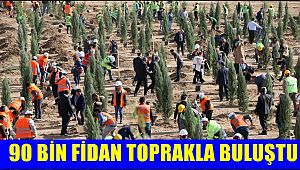 YEŞİL BİR AKSARAY İÇİN 90 BİN FİDAN DİKİLDİ