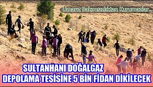 SULTANHANI DOĞALGAZ DEPOLAMA TESİSİ AĞAÇLANDIRILIYOR