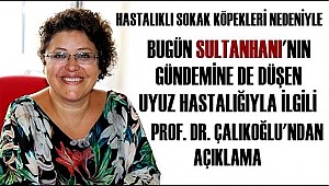 SULTANHANI GÜNDEMİNE DÜŞEN UYUZ HASTALIĞIYLA...