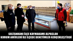 SULTANHANI İLÇE KAYMAKAMI ALPASLAN KURUM AMİRLERİ İLE İLÇEDE DENETİMLER GERÇEKLEŞTİRDİ