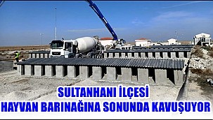 SULTANHANI İLÇESİ HAYVAN BARINAĞINA SONUNDA KAVUŞUYOR 