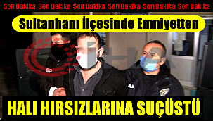 SULTANHANI İLÇESİNDE HALI HIRSIZLARINA EMNİYETTEN SUÇÜSTÜ