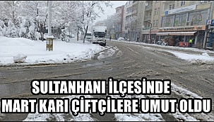 SULTANHANI İLÇESİNDE MART KARI ÇİFTÇİLERE UMUT OLDU