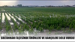 SULTANHANI İLÇESİNDE ÜRÜNLERİ VE BAHÇELERİ DOLU VURDU