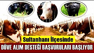 SULTANHANINDA BAŞVURULAR PAZARTESİ BAŞLIYOR!