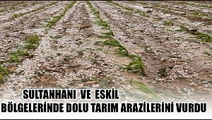 SULTANHANI VE ESKİL BÖLGELERİNDE DOLU TARIM ARAZİLERİNİ VURDU