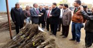 AKSARAY DA 7 BİN 80 ADET MEYVE FİDANI DAĞITILDI