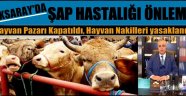 AKSARAY'DA HAYVAN PAZARI KAPATILDI HAYVAN NAKİLLERİ YASAKLANDI