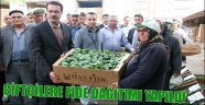 ÇİFTÇİLERE FİDE DAĞITIMI YAPILDI