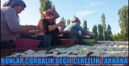 BUNLAR ÇORBALIK DEĞİL ÇEREZLİK TARHANA
