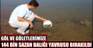 GÖL VE GÖLETLERİMİZE 144 BİN SAZAN BALIĞI YAVRUSU BIRAKILDI