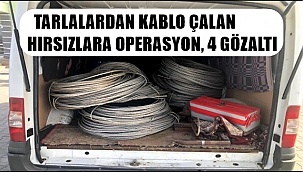 TARLALARDAN KABLO ÇALAN HIRSIZLARA OPERASYON 4 GÖZALTI