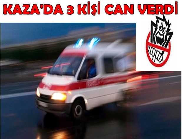 Trafik Kazasında 3 Kişi Yaşamını Yitirdi
