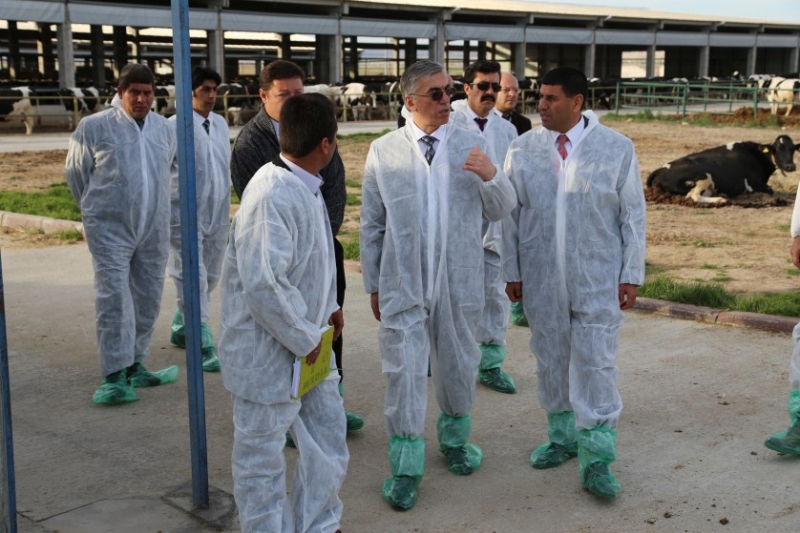 Vali şeref Ataklı Koçaş Tarım İşletmesini Ziyaret Etti
